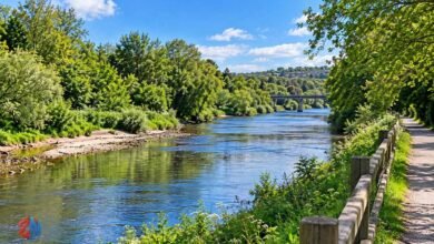 River Ely